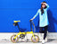 HACHIKO 14インチ自転車 折りたたみ自転車 バイク シティサイクル ミニベロ スポーツバイク ロードバイク HA-03